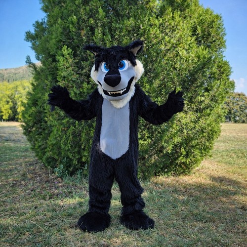 Big bad wolf - wolf, costume