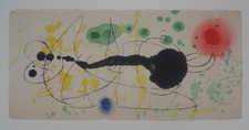 Joan Miro: Vogel