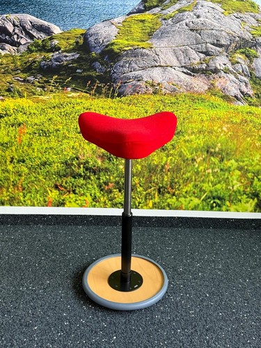 Varier move sitz - sitz-steh, hocker