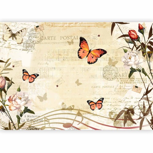 Vlies fototapete schmetterling - vlies,