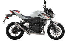 AUSPUFF ARROW PRO-RACE