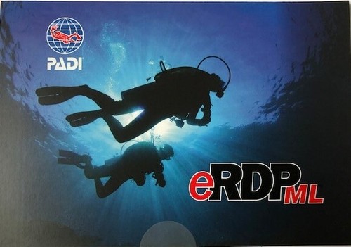 Padi erdp online access - padi,