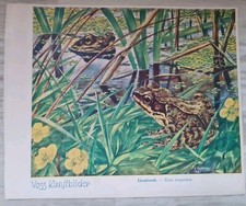 VOSS Margarine Kunstbilder
