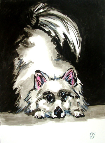 Niedlicher hund original - niedlicher,