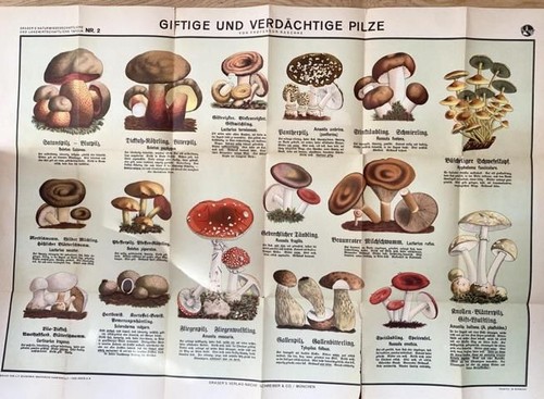 Giftige und verdächtige