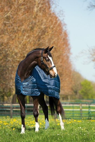 Horseware liner lite 100g - horseware,