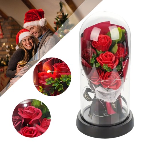 Rose glaskuppel mit - glaskuppel,