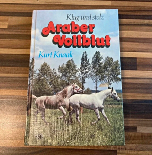 Klug und stolz araber - klug, stolz: