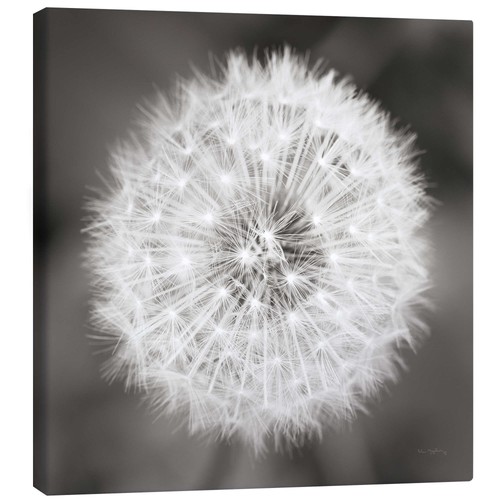 Leinwandbild pusteblume alan - pusteblume,