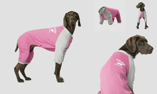 Canada pooch frosty - pooch, fleece