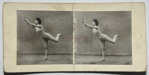 Frankreich pose plastik - pose,