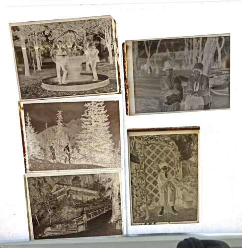 Antike fotografische negative - antike,