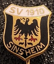 SV Sinsheim Fußball
