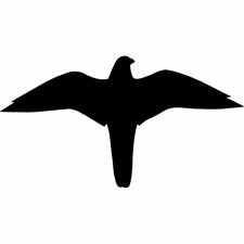 Aufkleber  VOGELSCHUTZ Schreck Schutz Fensterscheibe Falke 259 x 139 mm