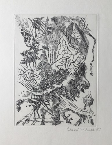 Bernard schultze radierung - schultze,