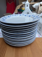 12 Arzberg 1382 Blaublüten