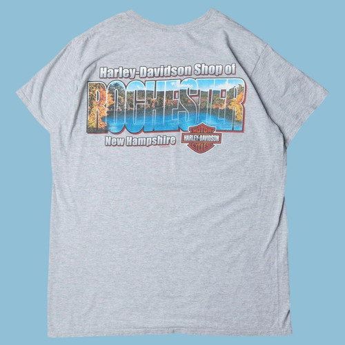 Vintage harley davidson - vintage,