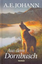 Aus Dem Dornbusch - A. E