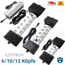 6/10/12 Köpfe Ultraschall