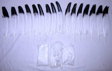 Plains-Indianer Konvolut