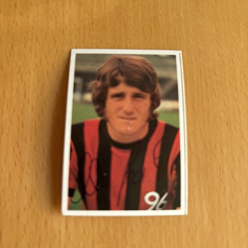 Bergmann 1972 signiert - bergmann, 1972/73