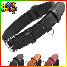 Leder Hundehalsband