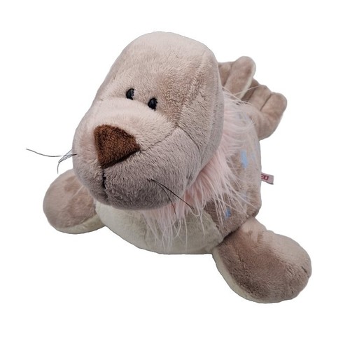 Nici robbe seehund seerobbe - robbe,