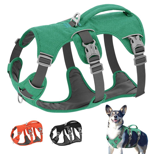Fluchtfestes nylon - fluchtfestes,
