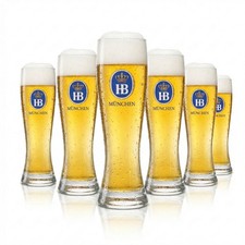 6x Hofbräu München Bier Glas