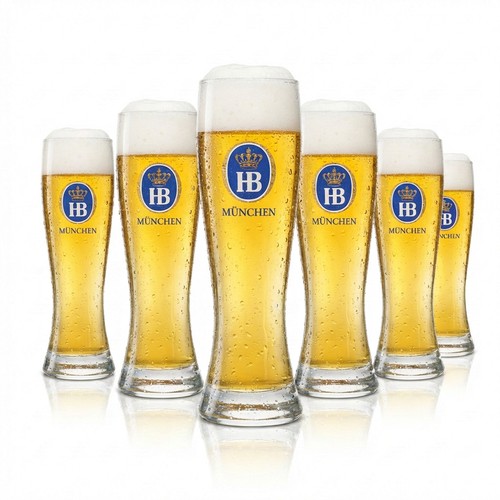 Hofbräu münchen bier glas - 6x,