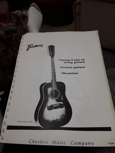 Framus cool - framus,