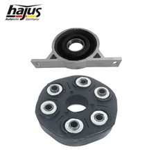 Hajus Hardyscheibe