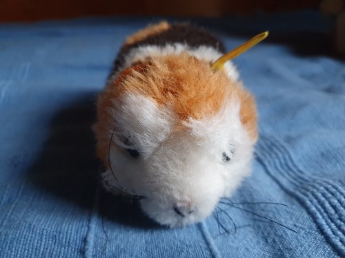Echtes steiff meerschweinchen - echtes,