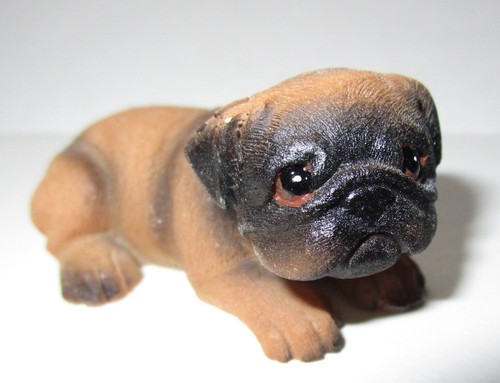 Mini mops hund - mops,