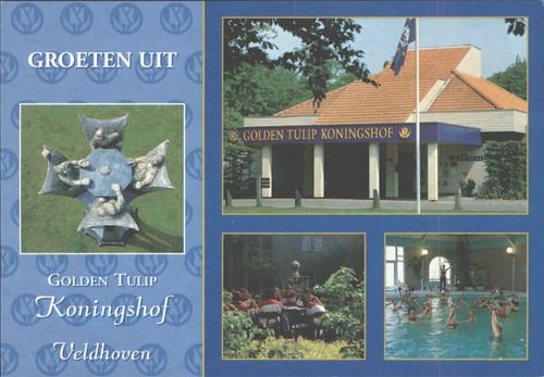 Goldene tulpe koningshof - goldene,