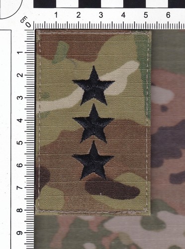 Army lieutenant general - lieutenant,