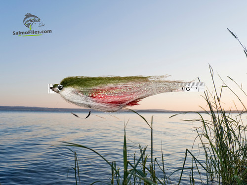 Baitfish streamer - 3x,