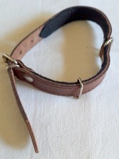 KEJ Hund Halsband 42cm lang