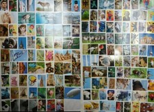 Sticker Bilder Penny