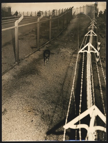 Fotografie eriss ansicht - fotografie, eriss,