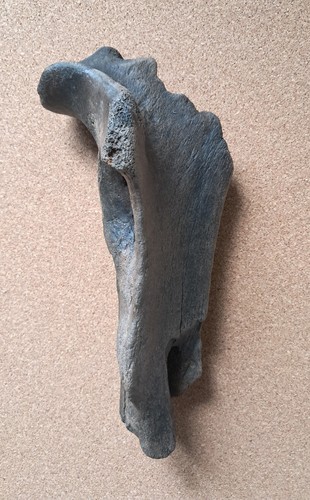 Fragment einer