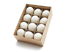 12 ausgeblasene Gänseeier 1A Qualität ca. 7-9 cm von NaDeco Gänse Eier  Dekoeier