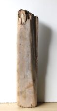 Treibholz Schwemmholz Driftwood  1 Balken   Regal Dekoration Basteln 55 cm