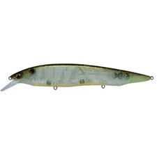 Megabass Kanata Fishing