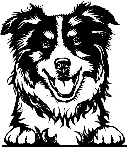 Autoaufkleber sticker - autoaufkleber, /