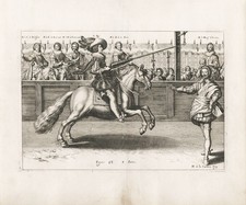 Reitschule riding school Pferd