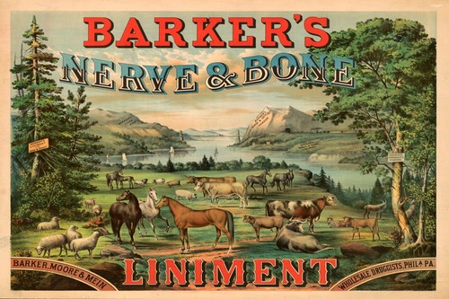 Vintage pferdefutter reklame - pferdefutter,