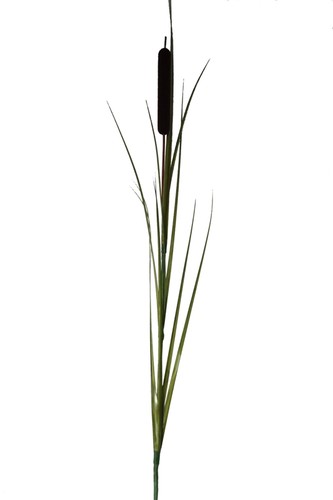 Künstliche schilfkolben gras - künstliche,