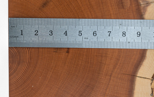 Eibenholz für holzsammlung - für,