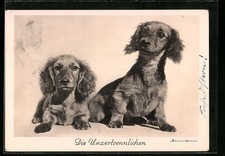 Ansichtskarte Die